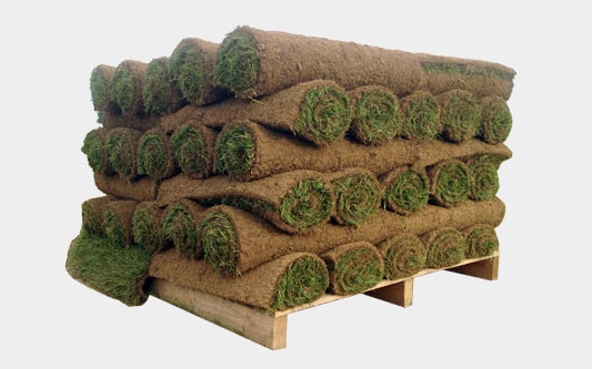 Finest quality Irish turfgrass